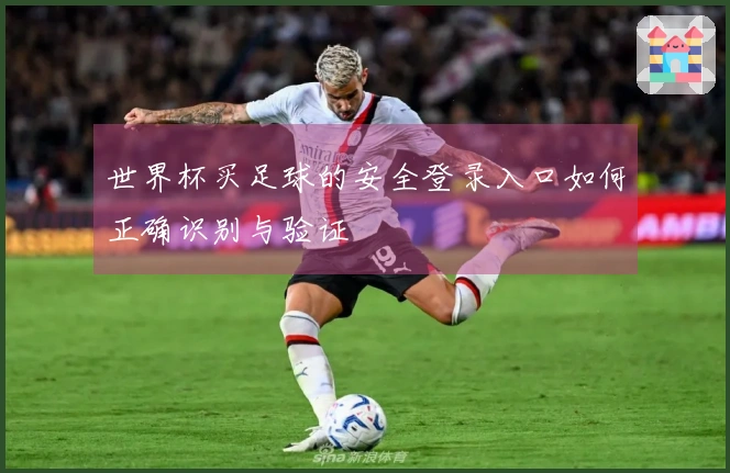 世界杯买足球的安全登录入口如何正确识别与验证