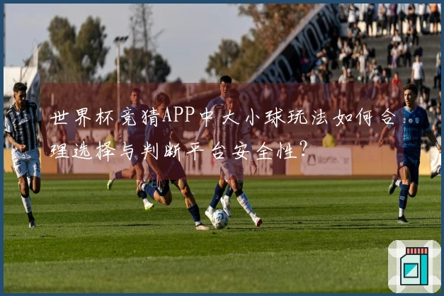 世界杯竞猜APP中大小球玩法如何合理选择与判断平台安全性？