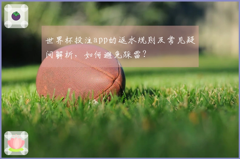 世界杯投注app的返水规则及常见疑问解析，如何避免踩雷？