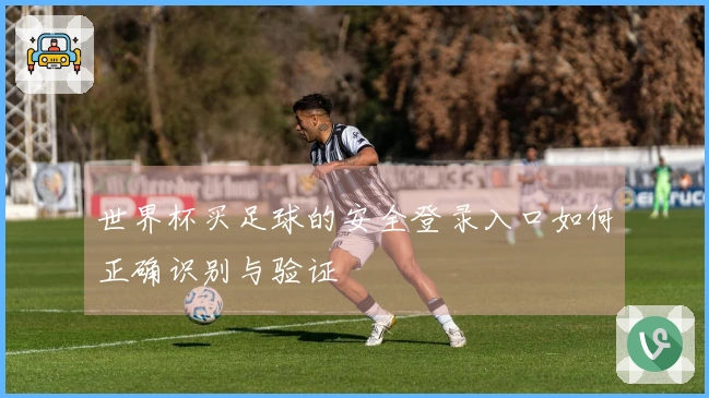 世界杯买足球的安全登录入口如何正确识别与验证