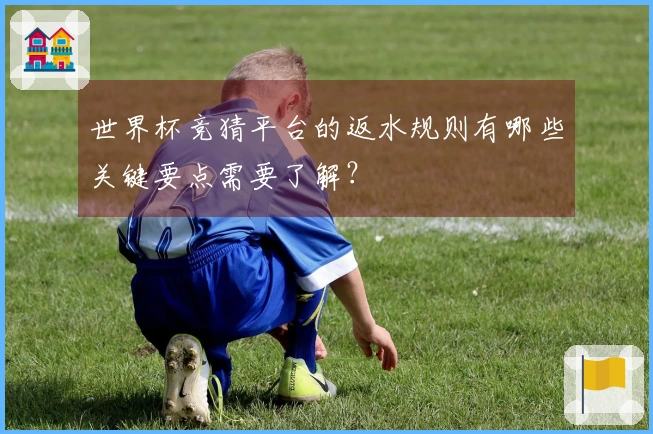世界杯竞猜平台的返水规则有哪些关键要点需要了解？